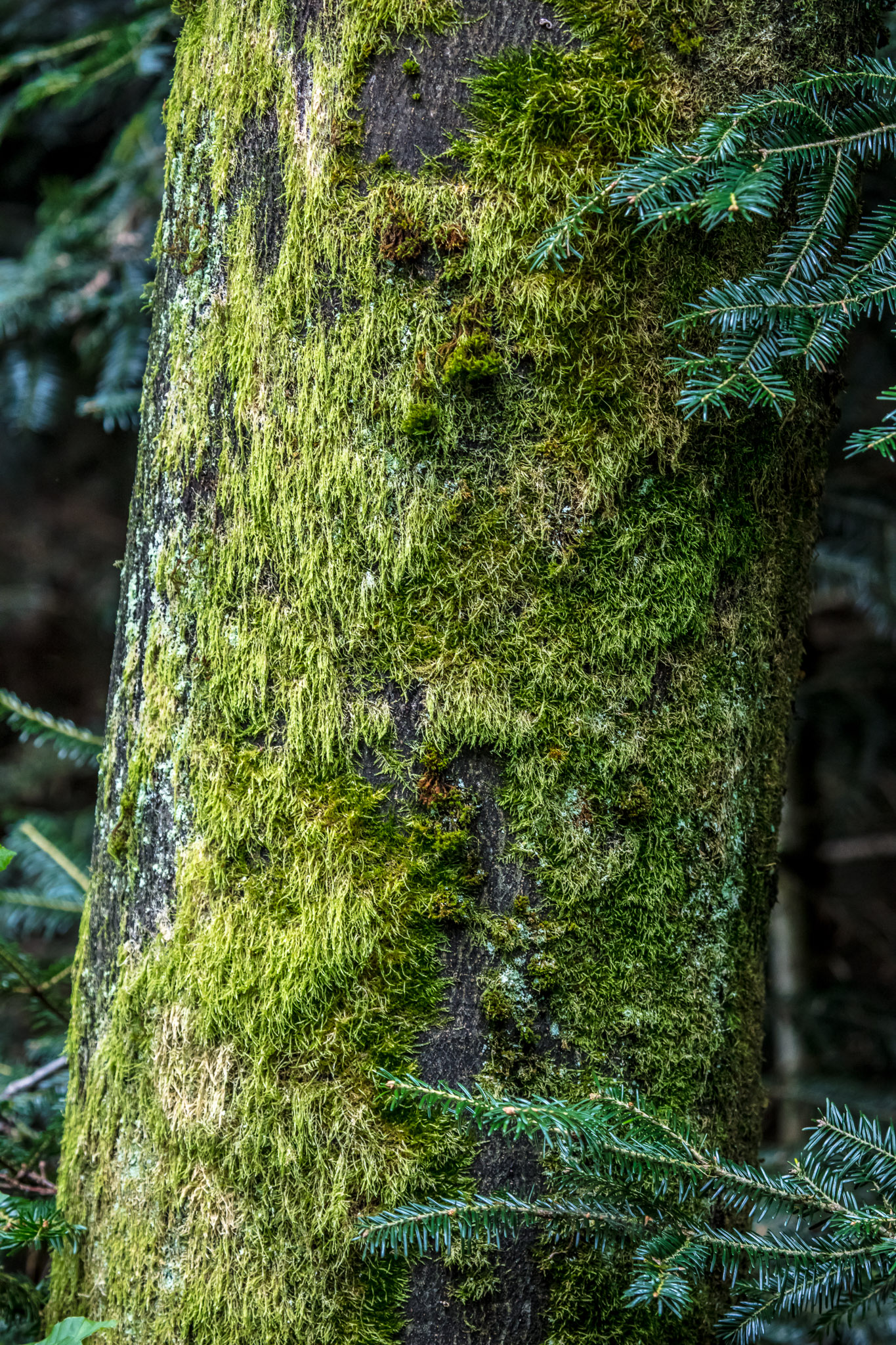 20210725101146 017892